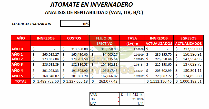 corrida de jitomate en invernadero