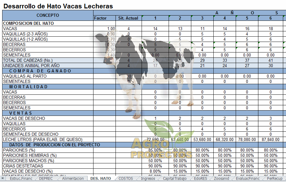 Corrida Financiera de Vacas Lecheras