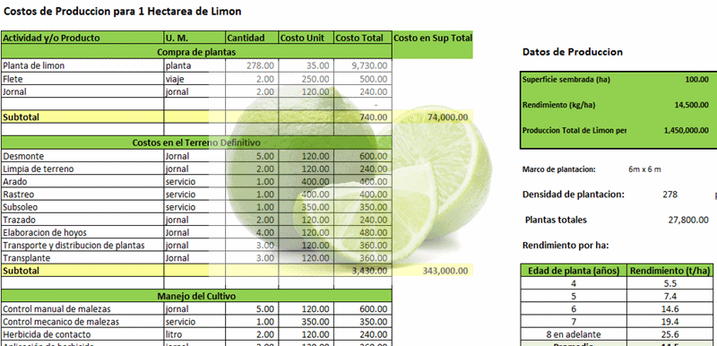 Proyecto de limon persa