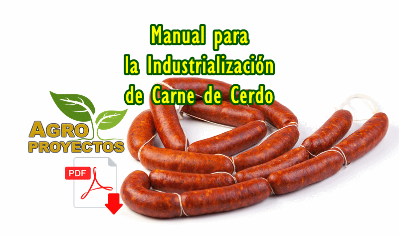 Manual de industrializacion de carne de cerdo
