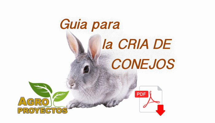 Manual Cria de conejos