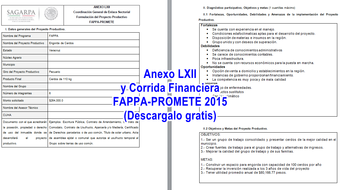 Proyecto de cerdos gratis