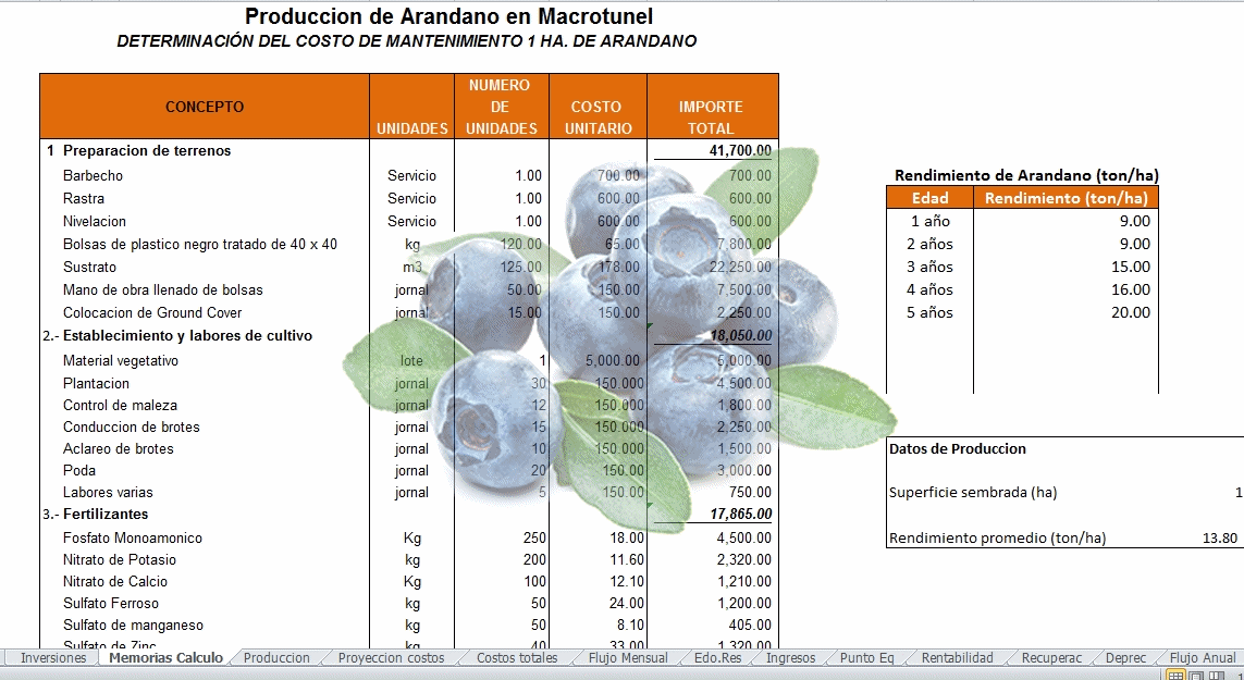 Corrida Financiera de Arandano SAGARPA
