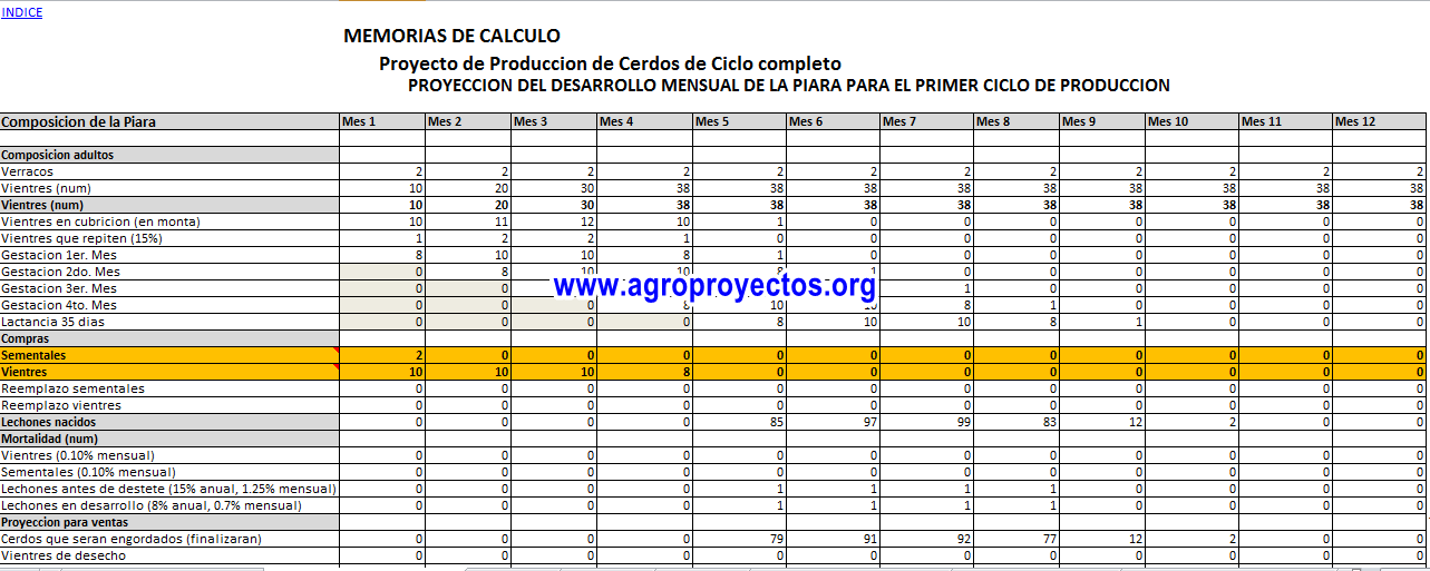 Cerdos ciclo completo