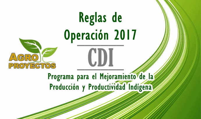 Reglas CDI 2017