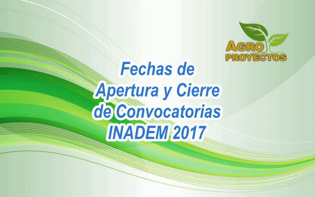 Convocatorias INADEM 2017