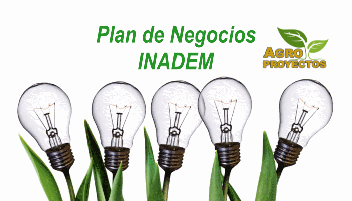 Elaboracion de plan de negocios INADEM