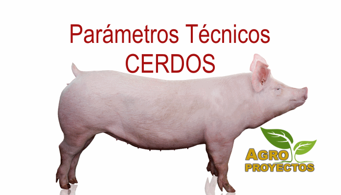 Parametros tecnicos de los cerdos
