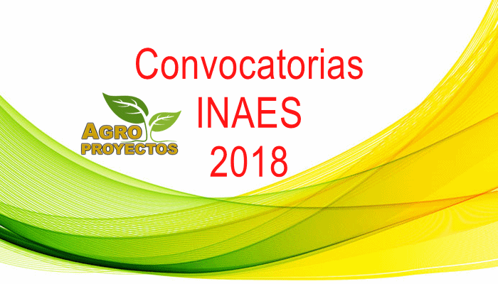 Convocatorias INAES 2018