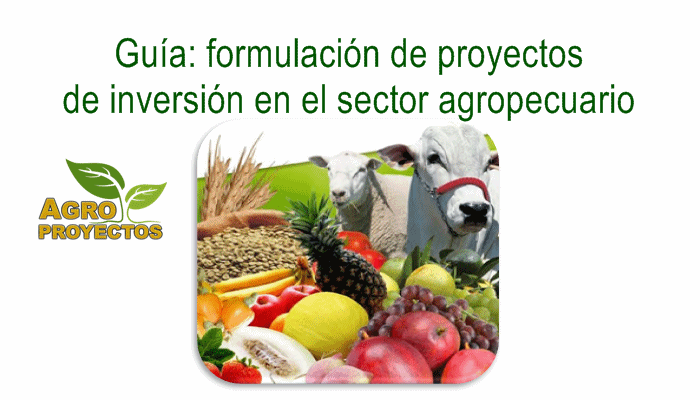 Formulacion de proyectos de inversion