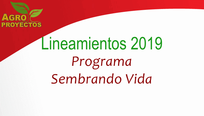 Programa sembrando vida