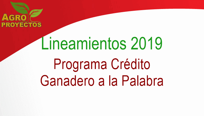 Programa Credito Ganadero a la palabra