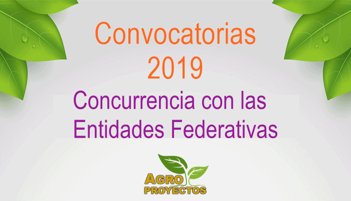 Convocatorias Concurrencia SADER