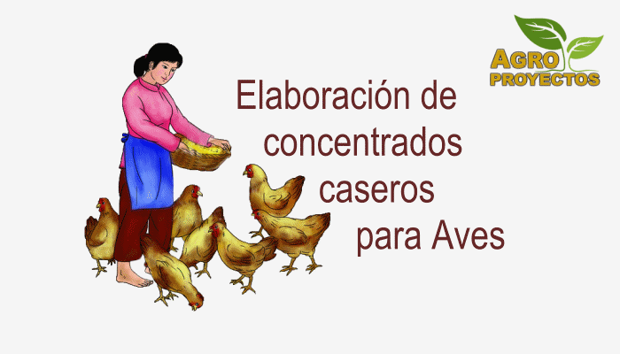 Elaboración de alimentos concentrados para aves