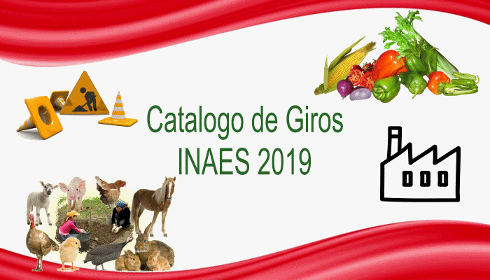 Catalogo de giros y actividades INAES 2019