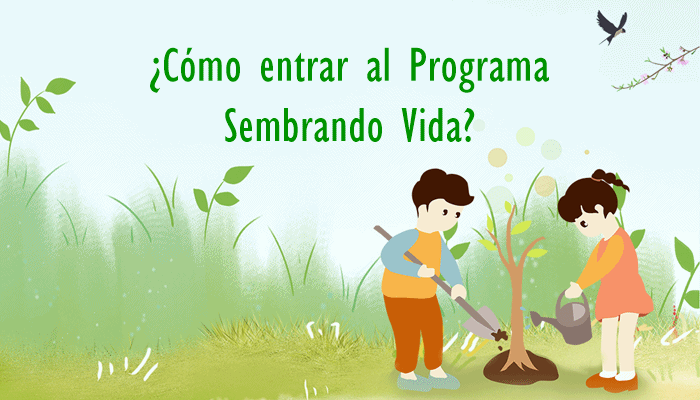 Cómo ingresar al programa sembrando vida