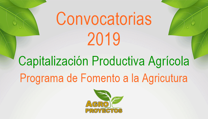 Convocatoria Capitalización Productiva 2019