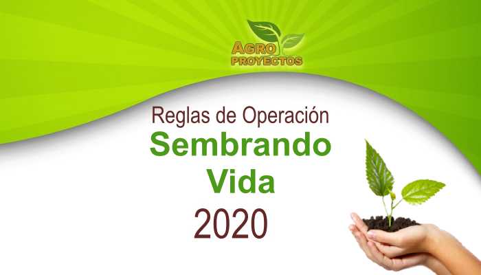 Reglas de Operación Sembrando Vida 2020