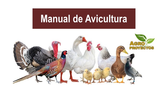 Manual de avicultura gratis